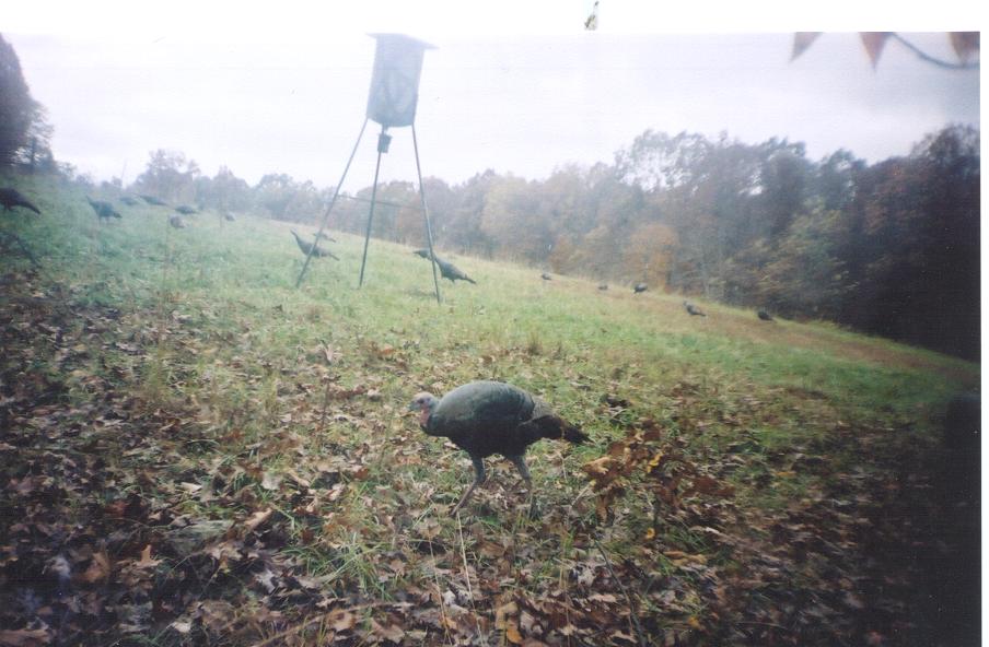 17turksfall02.jpg