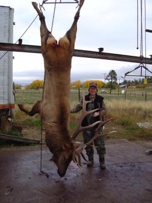 momhangingelk.jpg