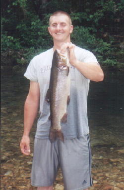 pattrout.jpg
