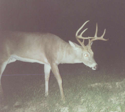 septbuck10.jpg
